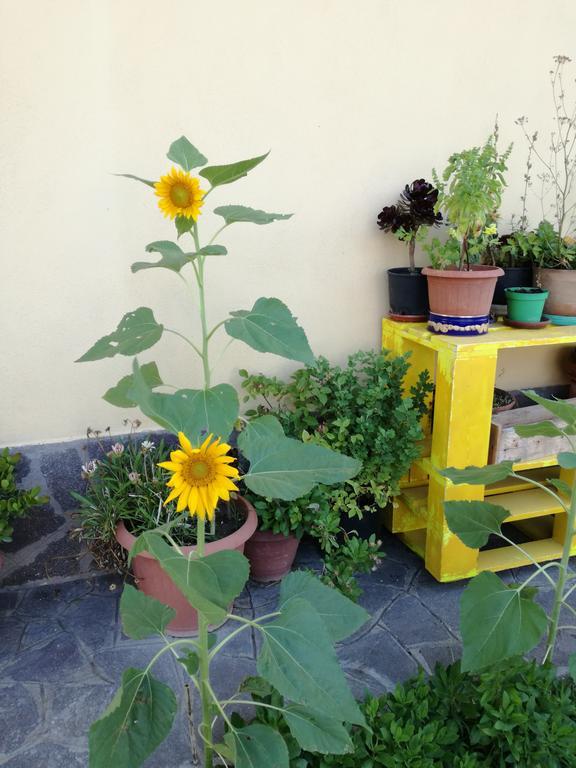 The Yellow House Fiumicino Exterior photo